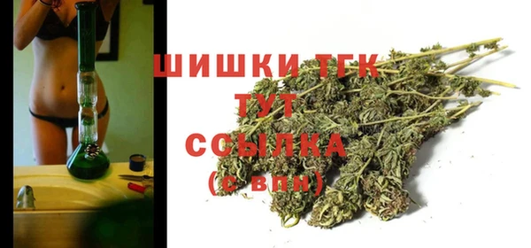 дмт Горняк