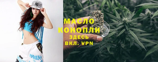 дмт Горняк
