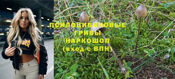 МДПВ Горно-Алтайск