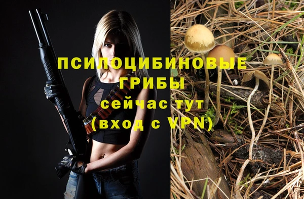 дмт Горняк
