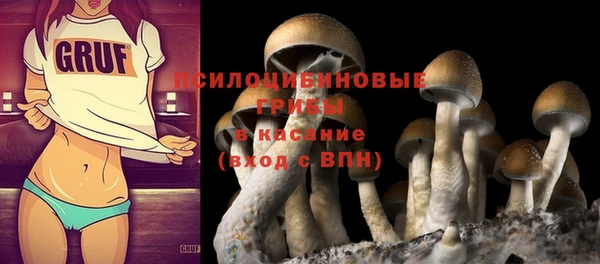 МДПВ Горно-Алтайск