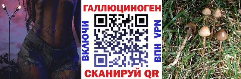 как найти закладки гидра tor Галлюциногенные грибы Magic Shrooms Калач